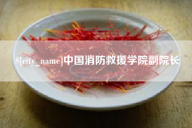 邵东中国消防救援学院副院长