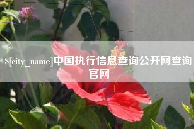 邵东中国执行信息查询公开网查询官网