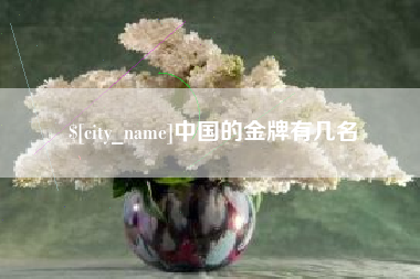 邵东中国的金牌有几名