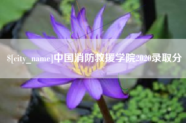 邵东中国消防救援学院2020录取分