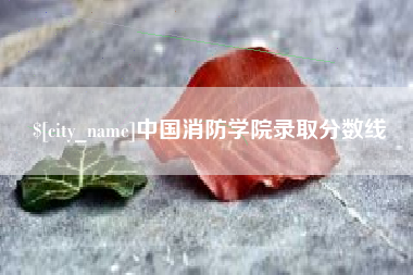 邵东中国消防学院录取分数线