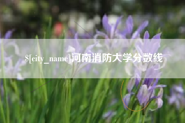 邵东河南消防大学分数线