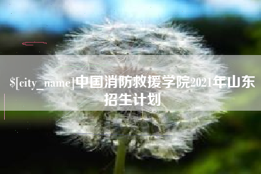 邵东中国消防救援学院2021年山东招生计划