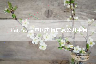 邵东中国执行信息公开平台