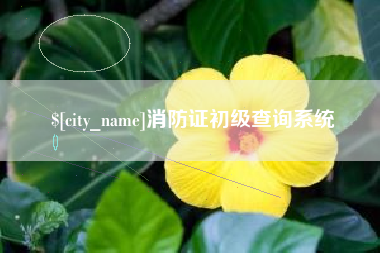 邵东消防证初级查询系统