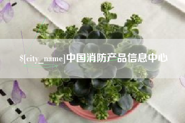 邵东中国消防产品信息中心
