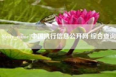 邵东中国执行信息公开网 综合查询