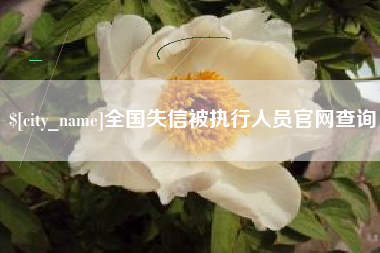 邵东全国失信被执行人员官网查询