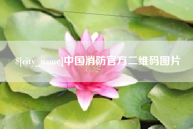 邵东中国消防官方二维码图片