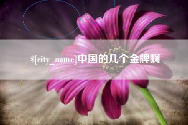 邵东中国的几个金牌啊