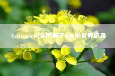 邵东全国男子5000米世界纪录