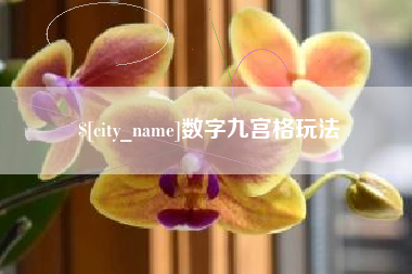 邵东数字九宫格玩法
