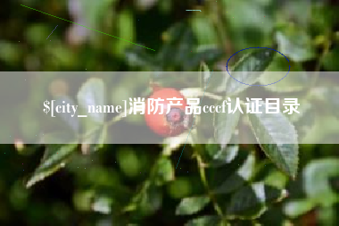 邵东消防产品cccf认证目录