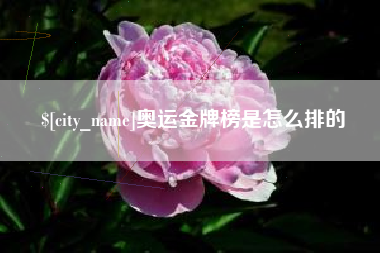 邵东奥运金牌榜是怎么排的