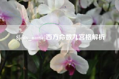 邵东西方命数九宫格解析