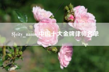 邵东中国十大金牌律师名单