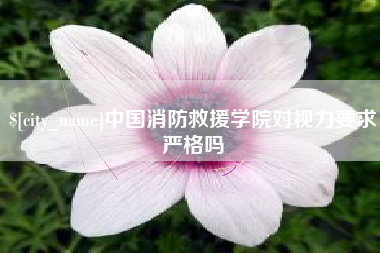 邵东中国消防救援学院对视力要求严格吗