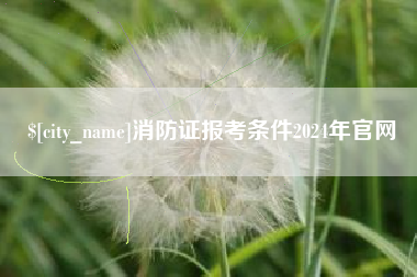 邵东消防证报考条件2024年官网