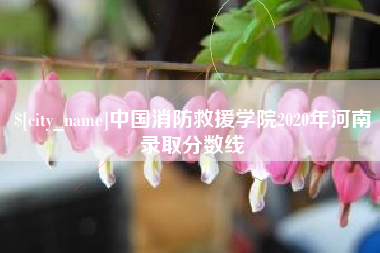 邵东中国消防救援学院2020年河南录取分数线