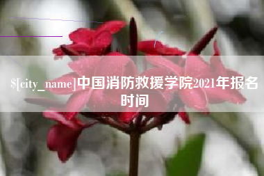 邵东中国消防救援学院2021年报名时间