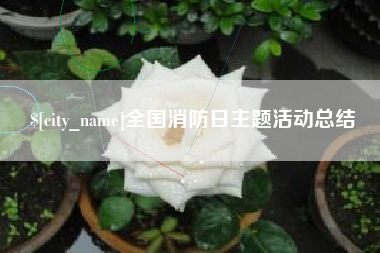 邵东全国消防日主题活动总结