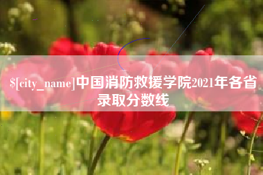邵东中国消防救援学院2021年各省录取分数线