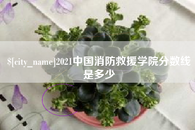 邵东2021中国消防救援学院分数线是多少