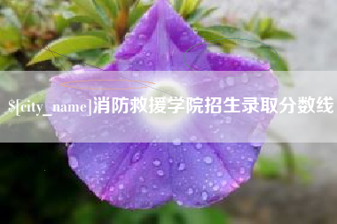 邵东消防救援学院招生录取分数线