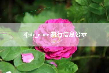 邵东执行信息公示