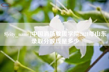 邵东中国消防救援学院2021年山东录取分数线是多少