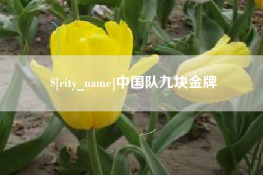 邵东中国队九块金牌