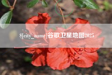 邵东谷歌卫星地图2025