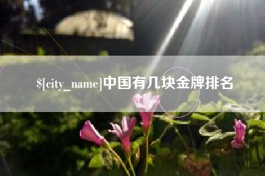 邵东中国有几块金牌排名