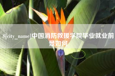 邵东中国消防救援学院毕业就业前景如何