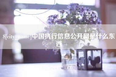 邵东中国执行信息公开网是什么东西