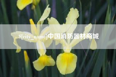 邵东中国消防器材商城