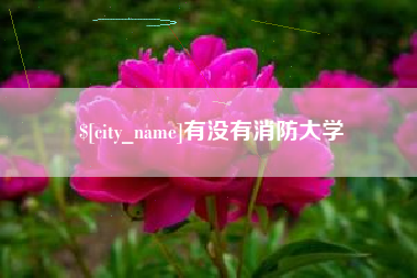 邵东有没有消防大学