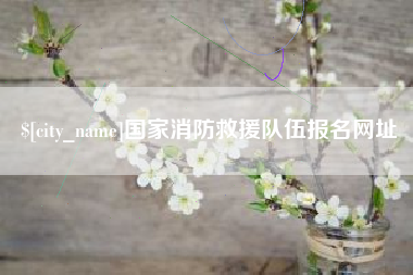 邵东国家消防救援队伍报名网址