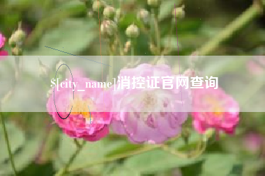 邵东消控证官网查询