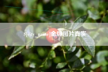 邵东金牌图片真实