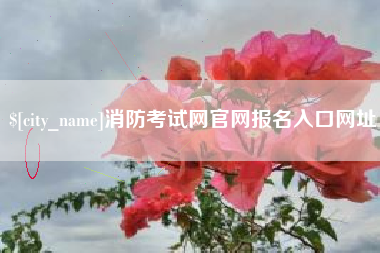 邵东消防考试网官网报名入口网址