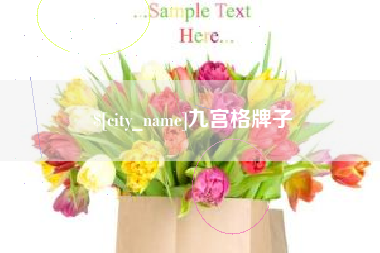 邵东九宫格牌子