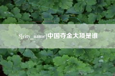 邵东中国夺金大项是谁