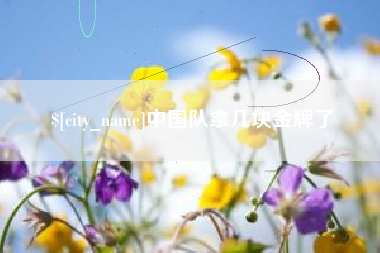 邵东中国队拿几块金牌了