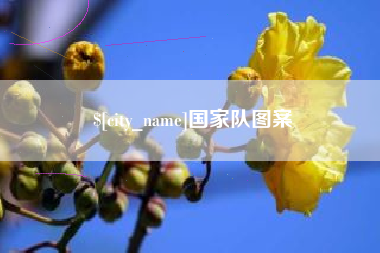 邵东国家队图案