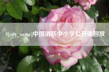 邵东中国消防中小学公开课回放