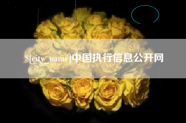 邵东中国执行信息公开网