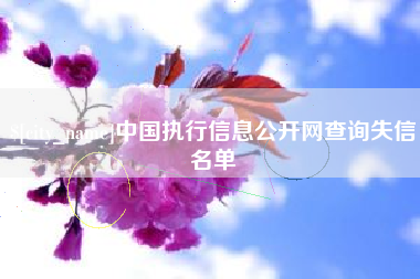 邵东中国执行信息公开网查询失信名单