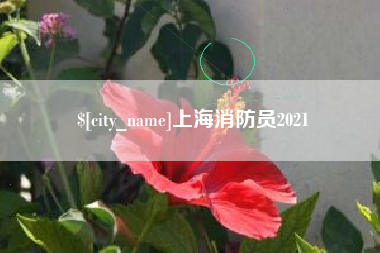 邵东上海消防员2021
