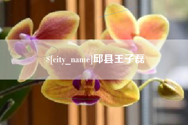 邵东邱县王子磊